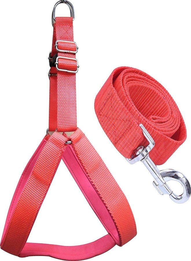 Smart Pups Harness for Large Dog- 1.25 Inch Body Harness and Leash (Color-May Vary) (Pack of 1) - Image 1